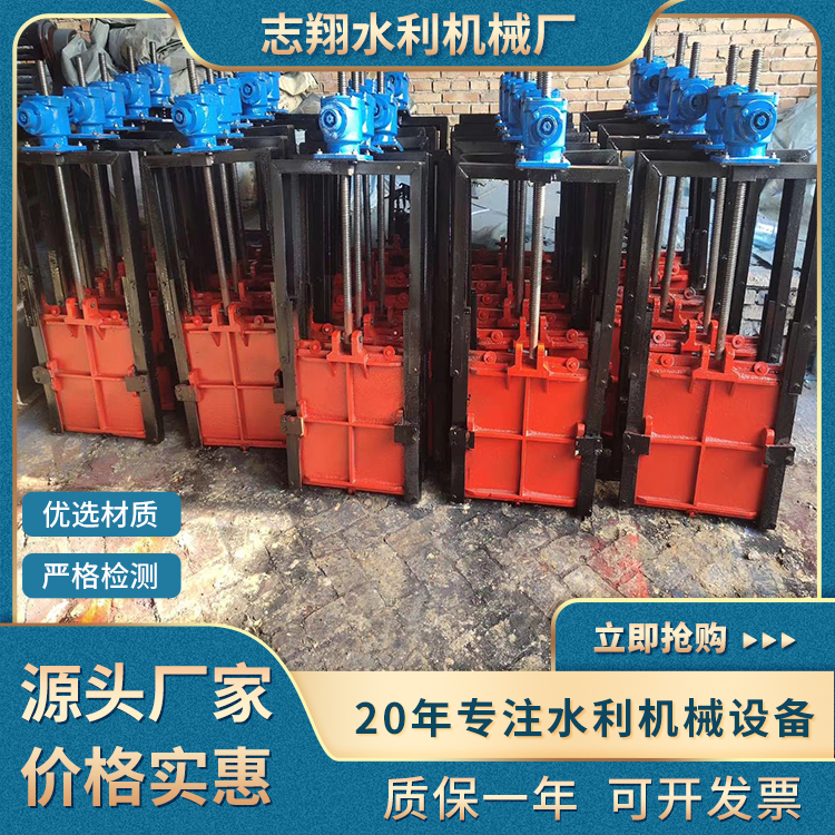 機(jī)閘一體鑄鐵閘門(mén)